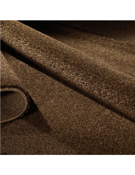 Dettaglio del tappeto marrone a tinta piatta