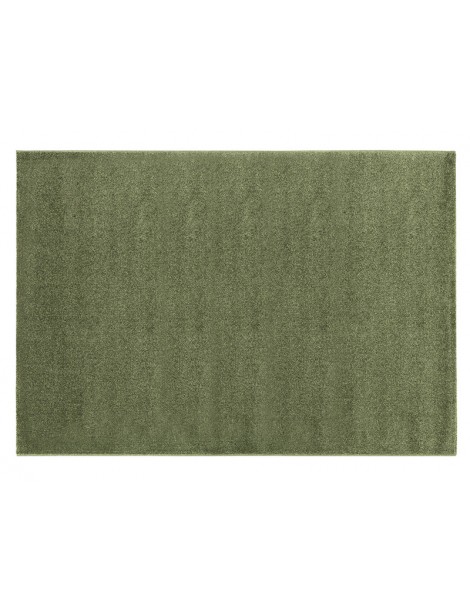 Pianta del tappeto colore verde a tinta unita