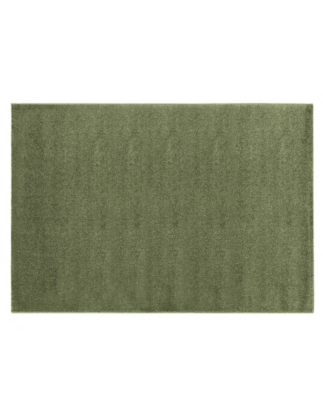 Pianta del tappeto colore verde a tinta unita