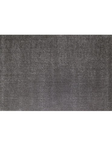 Pianta del tappeto a tinta unita grigio