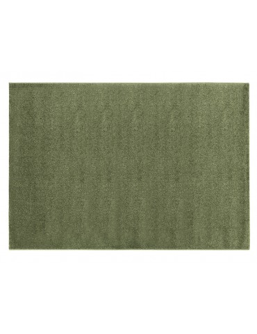 Pianta del tappeto colore verde a tinta unita