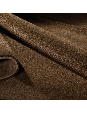 Dettaglio del tappeto marrone a tinta piatta