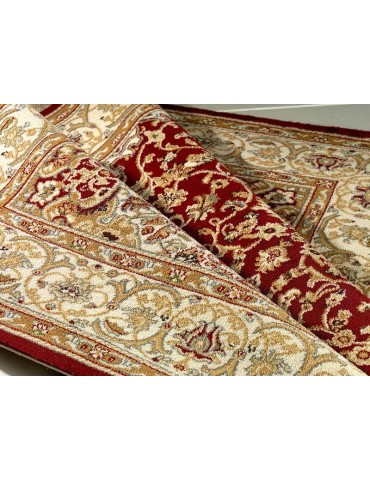 DETTAGLIO DELLA PIANTA DEL TAPPETO PERSIANAO